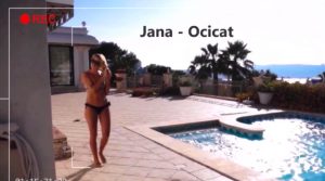 jana-ocicat-after-sw-pool